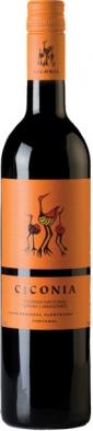Ciconia - Touriga Nacional Syrah Aragones Alentejano 2023 (750ml) (750ml)