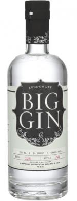 Big Gin - Gin (750ml) (750ml)